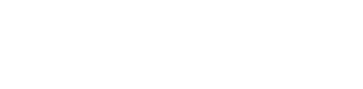 Nerv Helmets